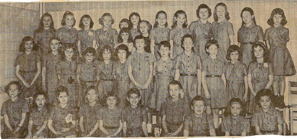 brownie group